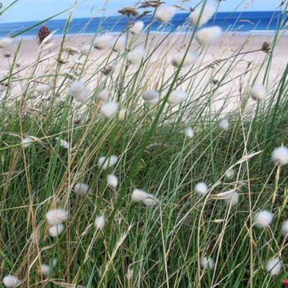 Meet your Posher, Mel - Picture 1 of 1